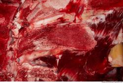 Photo Textures of RAW Ribs Beef Meat